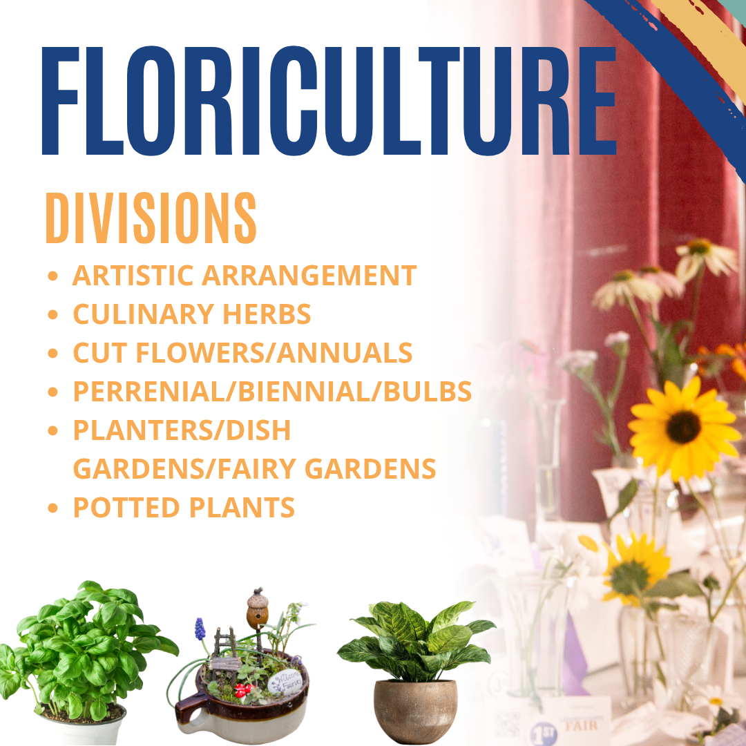 Floricultrure