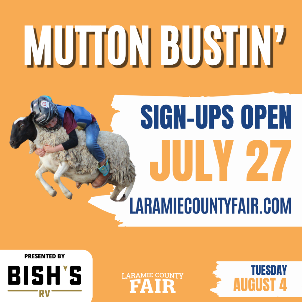 a child riding a sheep during the annual Mutton Bustin event at the Laramie County Fair.