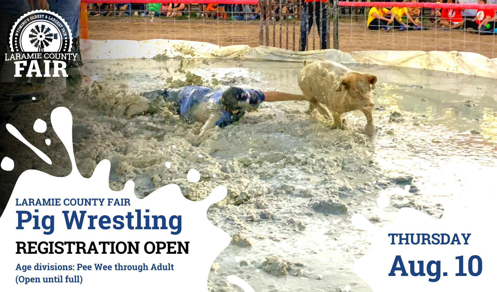 Pig Wrestling (1) Pig Wrestling (1)