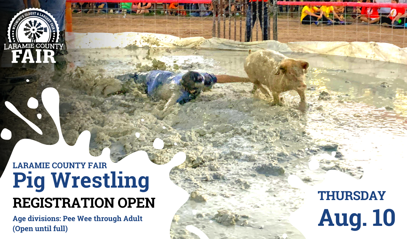 Pig Wrestling (1)